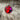 Pokemon Coin - Red